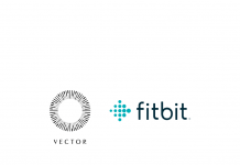 Vector Watch achizitionat de Fitbit