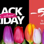 Black Friday la flori Floria.ro