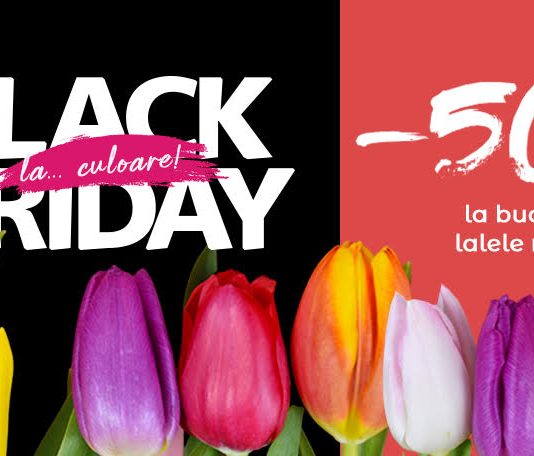Black Friday la flori: 50% la buchetele cu lalele multicolore pe Floria.ro Black Friday la flori Floria.ro