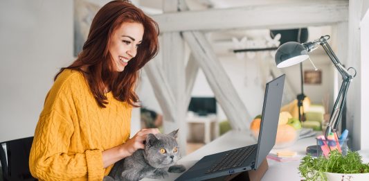 Acer își extinde portofoliul de produse ecologice din seria Vero